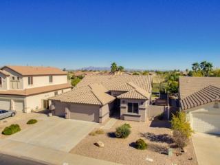 1113 Portland Ave, Gilbert, AZ 85296-8802