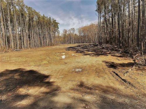 26335 Augusta Hwy, Ridgeville, SC 29472-3070