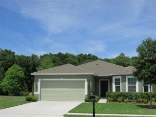 3734 Umbrella Ct, Tavares, FL 32778-6201