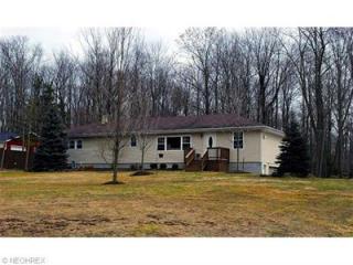 10781 Clay St, Montville, OH 44064-9701
