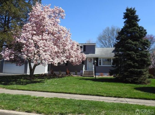 610 Lane Ave, South Plainfield, NJ 07080-3517