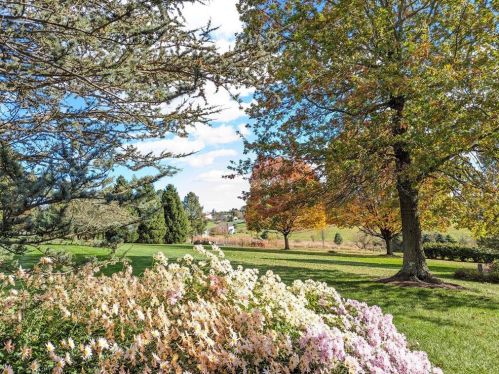 4438 Bachman Dr, Schnecksville PA  18078-2246 exterior