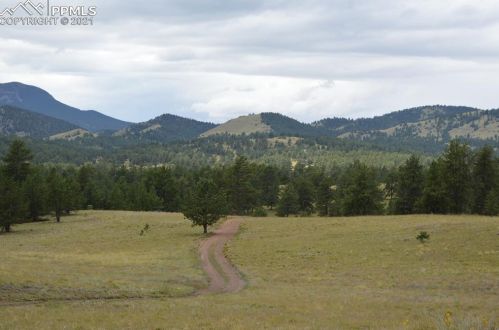 338 Deer Ln, Guffey, CO 80820-9105