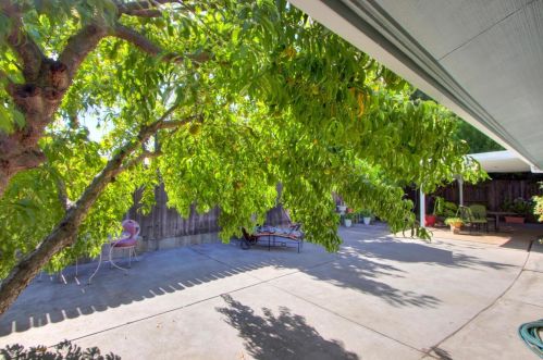 642 Dodds Dr, Woodland CA  95776-4258 exterior