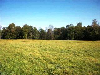 578 Lt Brender Hwy, Ferndale, NY 12734-5508