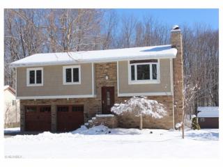 10459 Woodchuck Ct, Twinsburg, OH 44087-1133