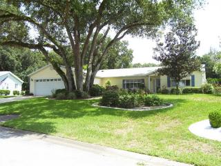 9830 174th Place Rd, Summerfield, FL 34491-6449