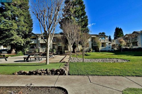 314 Borel Ln, Danville CA  94526-5566 exterior