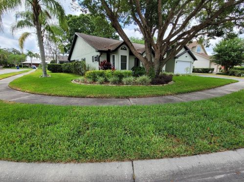 5746 Fieldspring Ave, New Port Richey, FL 34655-1141