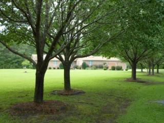 1692 Morgan Ave, Andrews, SC 29510-6830