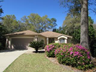 19887 97th Ln, Dunnellon, FL 34432-4175