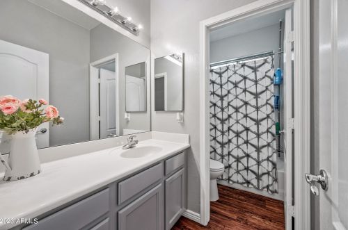 17623 Crocus Dr, Sun City AZ  85388-7747 exterior