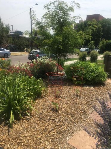 1555 Jackson St, Denver CO 80206-1921 exterior