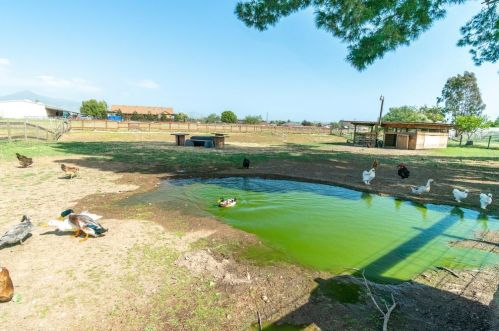 105 Daffodil Dr, Hollister CA  95023-3103 exterior