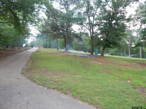 3075 Lake Dr, Gladewater, TX 75647-9251