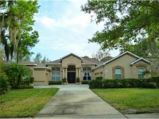 313 Forest Breeze Ave, Brandon, FL 33511-3008