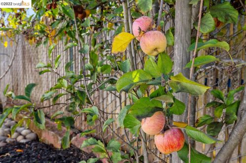 2368 Bartlett St, Oakland CA 94601-3213 exterior