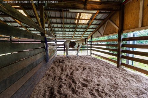 22528 Southshore Dr, Land O Lakes FL  34639-4726 exterior