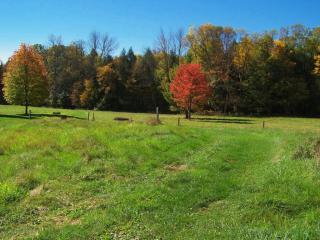 60 Clinton Dr, Factoryville, PA 18419-2608