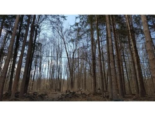 915 Page Brook Rd, Itaska, NY 13862-1536