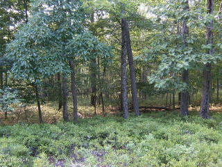 114 Bayberry Dr, Milford, PA 18337
