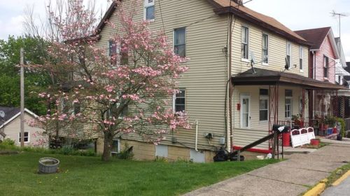 310 Crst Ave, North Charleroi PA  15022-1347 exterior