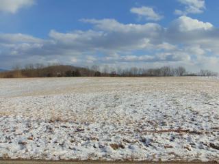 1855 Muddy Creek Rd, Blountville, TN 37617-6512