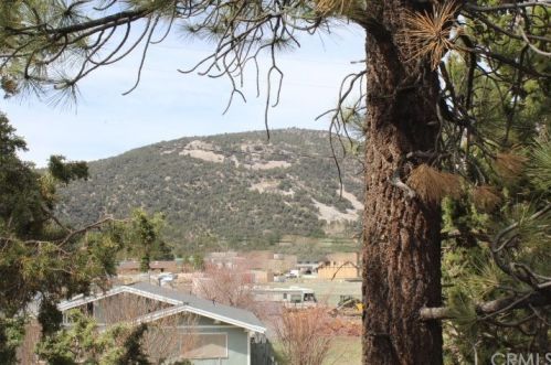 218 Mountain View Blvd, Big Bear City, CA