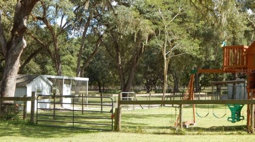 17639 Palamino Lk Dr, Dade City FL 33523-1949 exterior