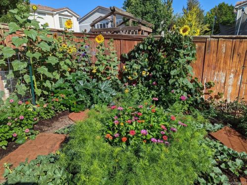 9765 Hannibal Ct, Denver CO 80022-9263 exterior