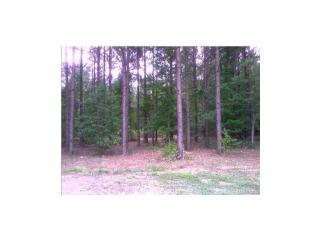 7 Plantation Trl, Mathews, AL 36052-4029