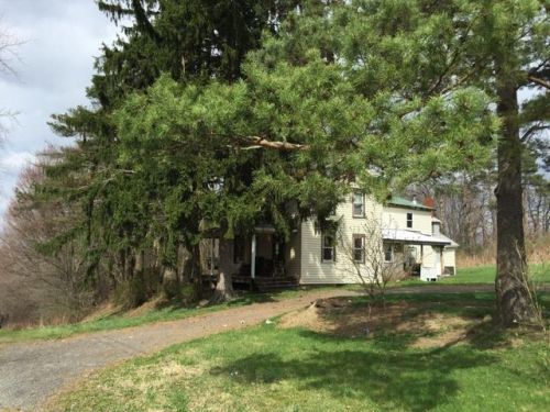 126 Mine Rd, Luthersburg, PA 15848-1304