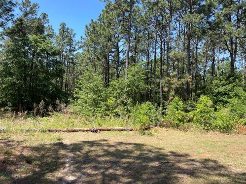 228 Palm Breeze Ln, Burnettown, SC 29851-2114