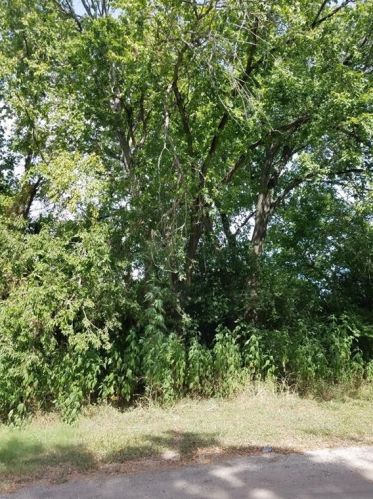 501 2nd St, Webberville, TX 78621-2201