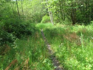9330 Cornell Creek Rd, Glacier, WA 98244-9500