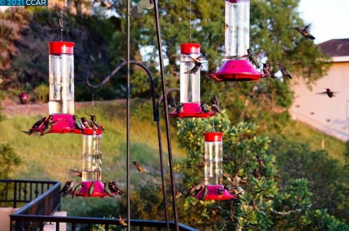 522 Oakshire Pl, Alamo CA  94507-2325 exterior