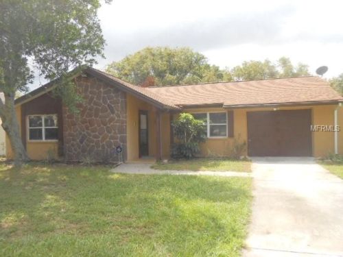 3434 Norland Ct, Tarpon Springs, FL 34691-1311
