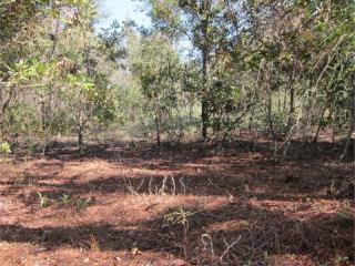 28024 127th Ave, Jonesville, FL 32669-6314