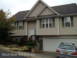 106 Paper Birch Ave, Asheville NC  28806-0007 exterior