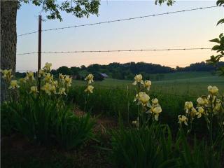 1177 Roy Sellers Rd, Columbia TN  38401-1301 exterior