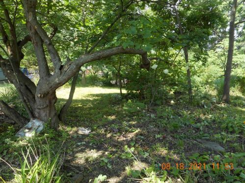 8383 Cheviot Rd, Cincinnati OH  45247-3803 exterior