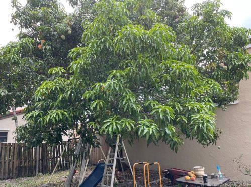 6244 175 Ter, Hialeah FL  33015-4437 exterior