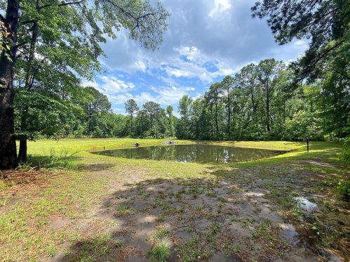 1121 Wexford Park, Mount Pleasant SC  29466-9388 exterior