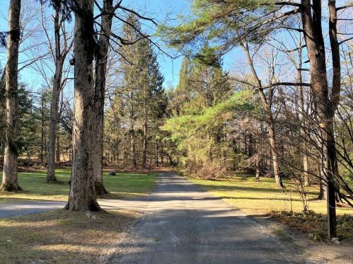 501 Litchfield Rd, Norfolk, CT 06058-1254