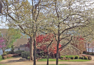 34591 Coves Dr, Monkey Island, OK 74331-8876