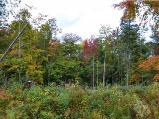 1 Page Rd, Lowell VT  05847-9658 exterior