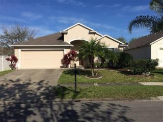 1953 Hammock Moss Dr, Orlando, FL 32820-2234