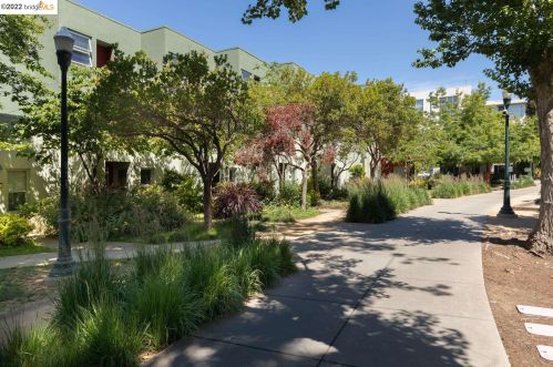 115 Glashaus Loop, Oakland CA 94608-1298 exterior