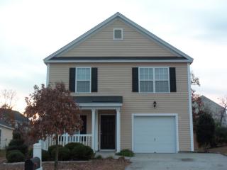 113 Foley Ln, Lexington SC  29072-7373 exterior