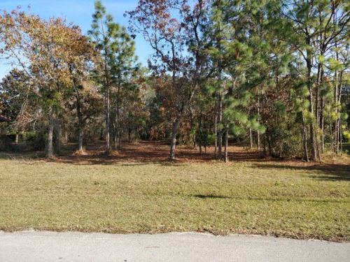 94 Woodfield Cir, Homosassa, FL 34446-3584
